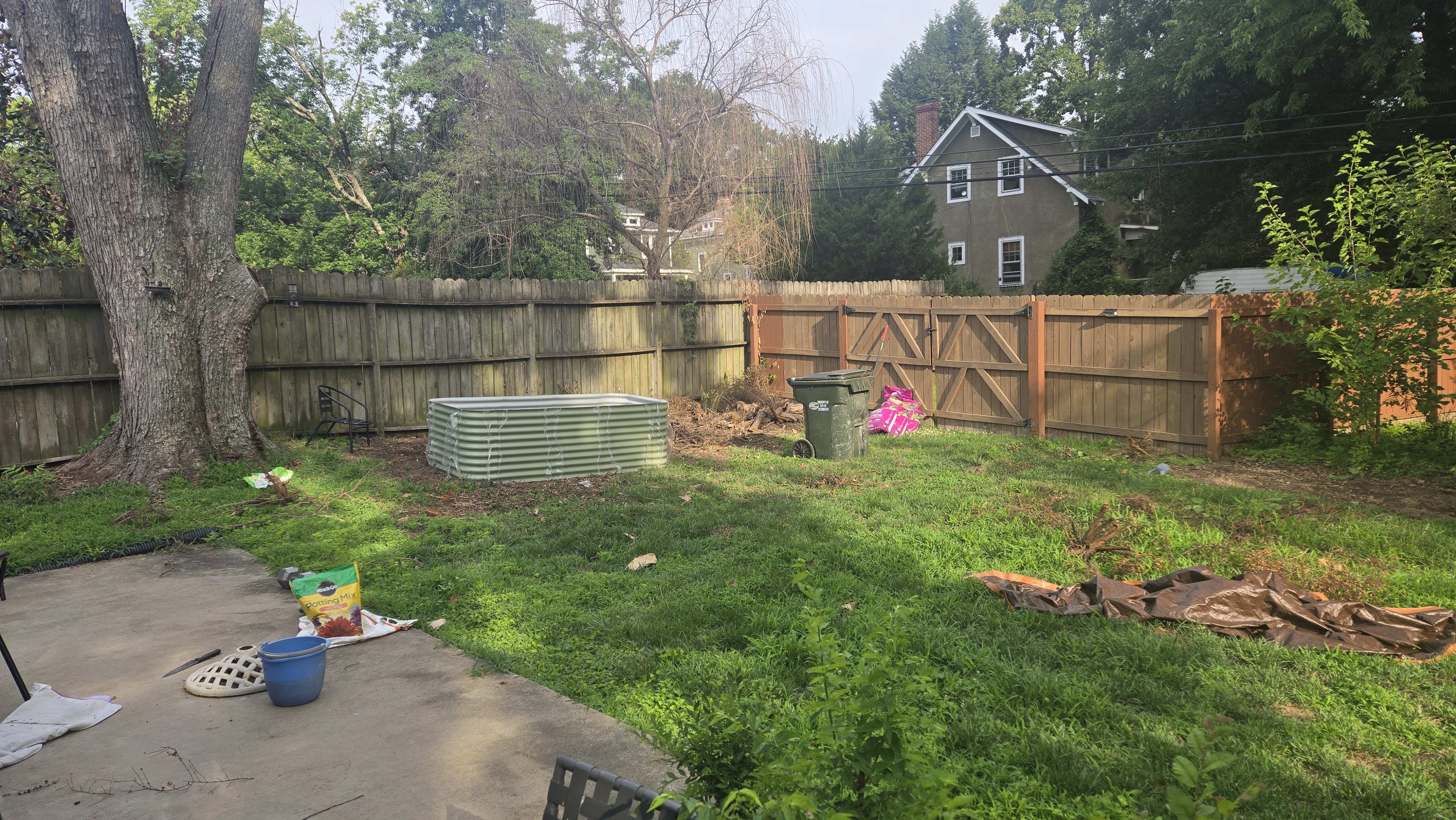 Garden picture #1